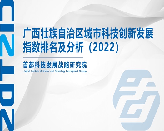 老太婆日B视频免费看【成果发布】广西壮族自治区城市科技创新发展指数排名及分析（2022）